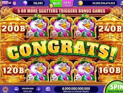 Live Casino Dealer Stream